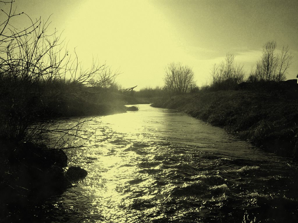 5858029189_db98 kollatz